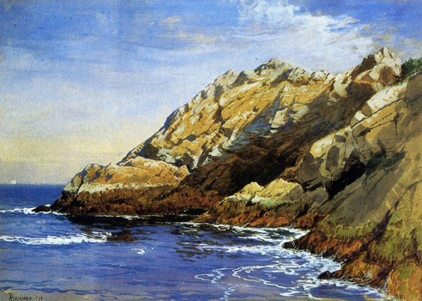 Cliffs, Dana's Island: 1879