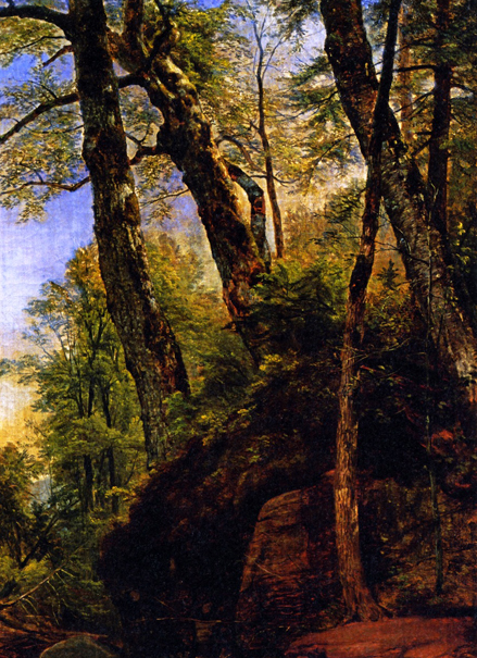 Black Birches, Catskill Mountains: 1860