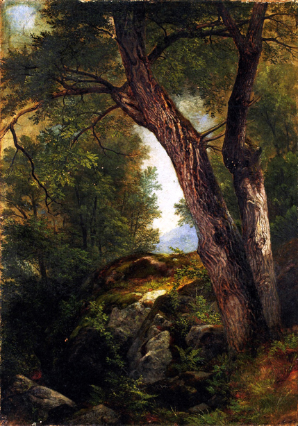 Butternut Tree at Hague, Lake George, New York: ca 1862