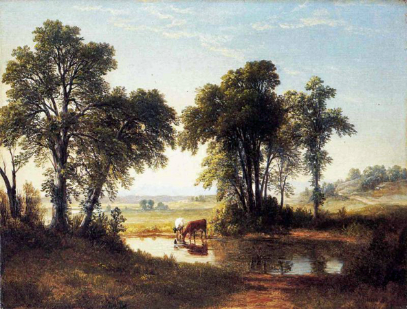 Cows in a New Hampshire Landscape: Date Unknown