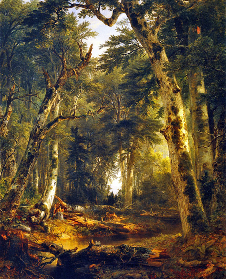 In the Woods: 1855