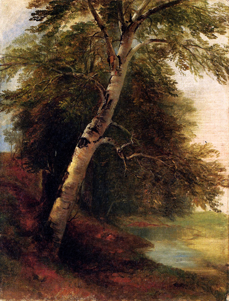 Nature Study: A Birch Tree - ca 1860