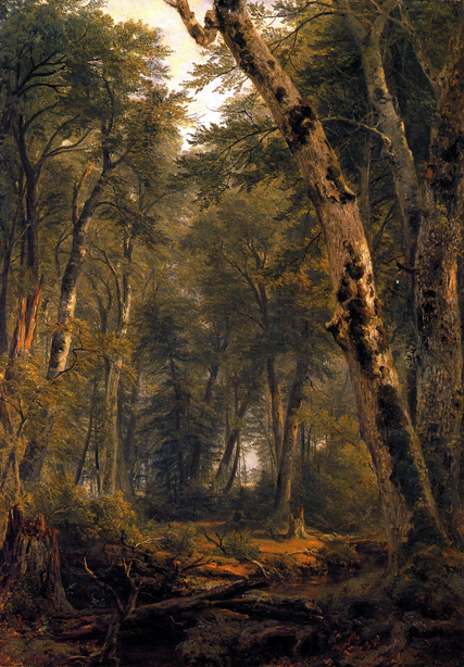Woodland Interior: ca 1854