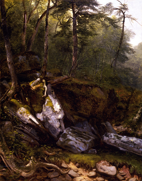 Study from Nature Rocks and Trees in the Catskills, New York: ca 1856