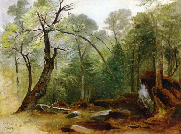 Study in the Woods: 1853