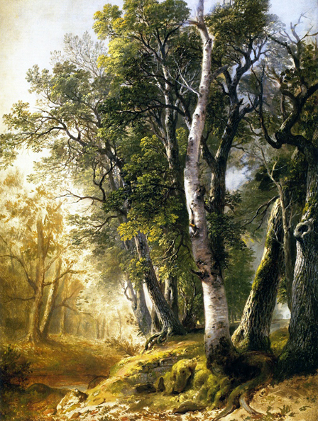 Trees by the Brookside, Kingston, New York: ca 1846
