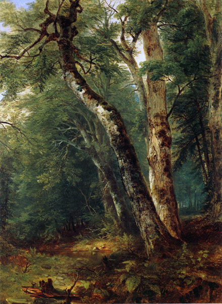 Woodland Interior: ca 1855