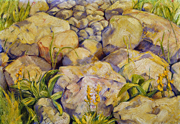 Large Study of Stones: 1909