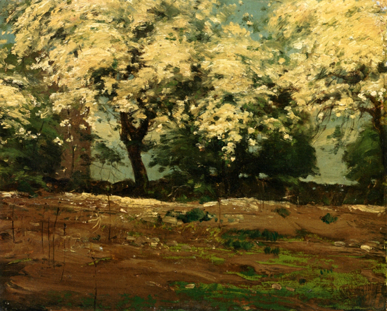 Blossoms: 1880-83