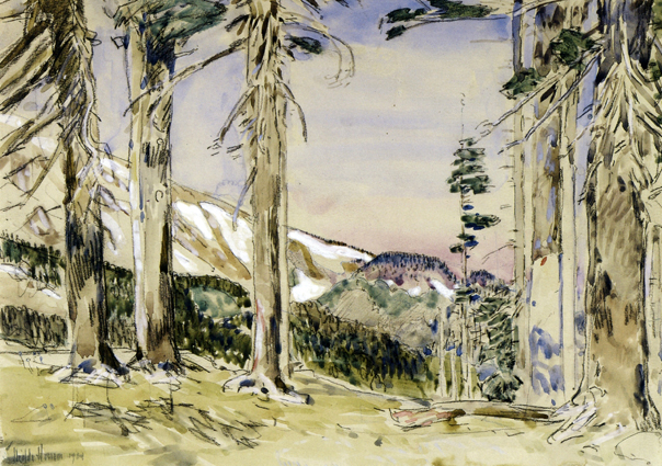 End of Timberline, Mount Hood: 1904