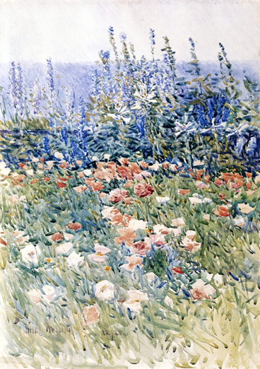 Flower Garden, Isles of Shoals:  1893