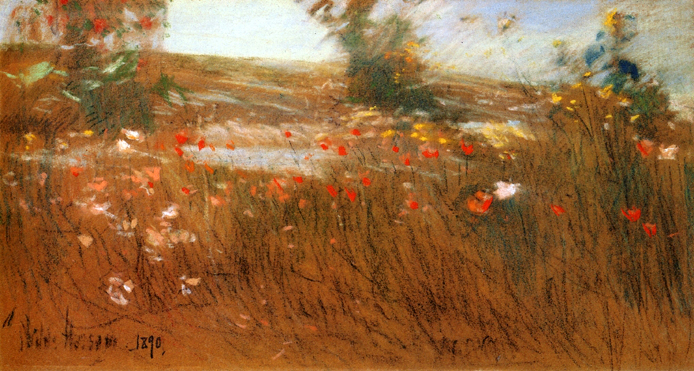 Poppies, Isles of Shoals: 1890