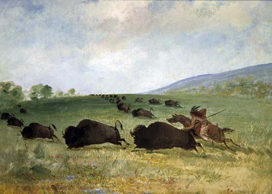 An Osage Indian Lancing a Buffalo: 1847