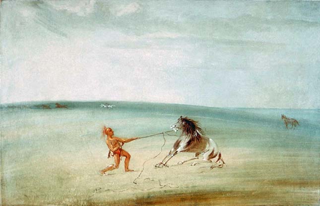 Breaking Down the Wild Horse: 1834
