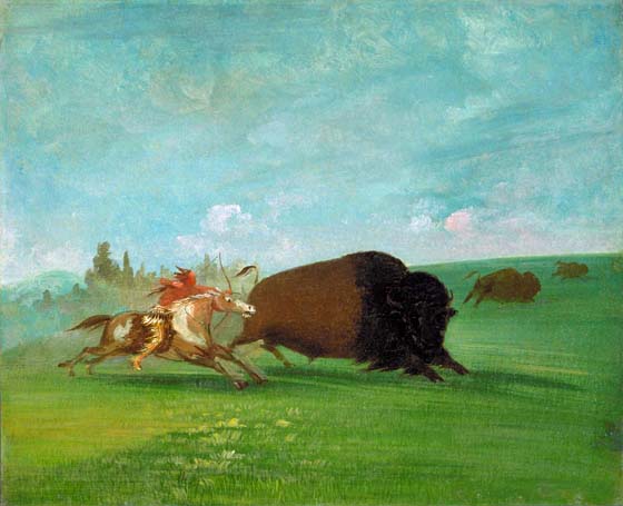 Buffalo Chase, a Single Death: 1832