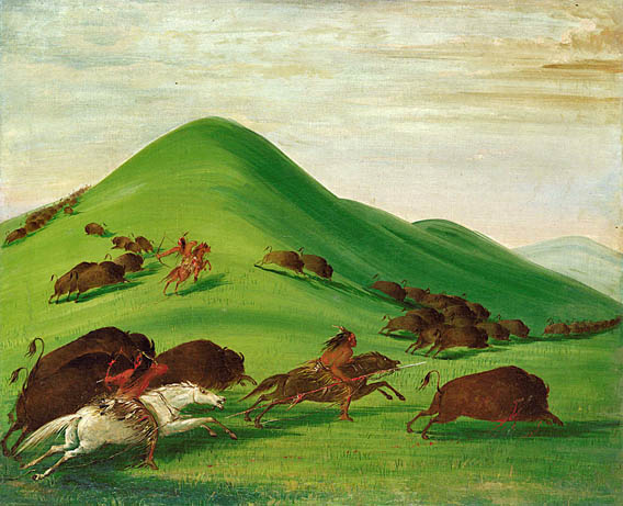 Buffalo Chase over Prairie Bluffs: 1832