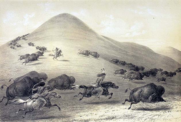 Buffalo Hunt, Chase no 6: Date Unknown