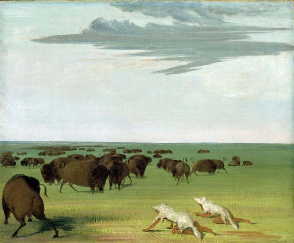 Buffalo Hunt under the Wolf-Skin Mask: 1832