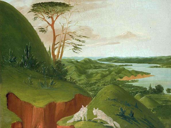River Bluffs with White Wolves in the Foreground, Upper Missouri: 1832