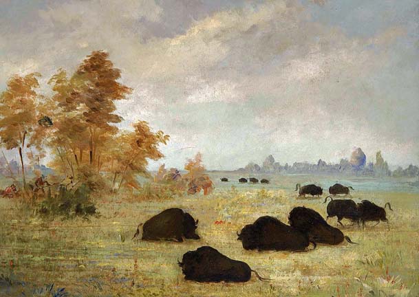 Stalking Buffalo, Arkansas: 1846