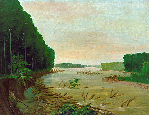 View on the Missouri, Alluvial Banks Falling in, 600 Miles above Saint Louis: 1832