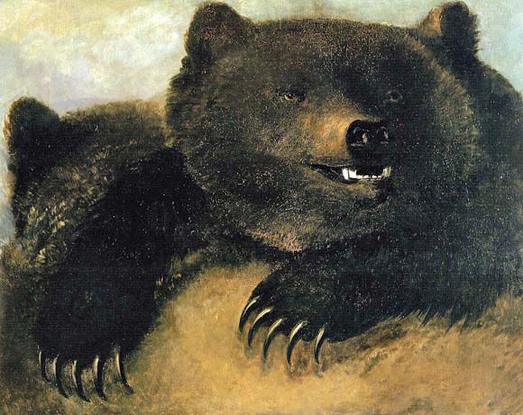Weapons and Physiognomy of the Grizzly Bear: 1846