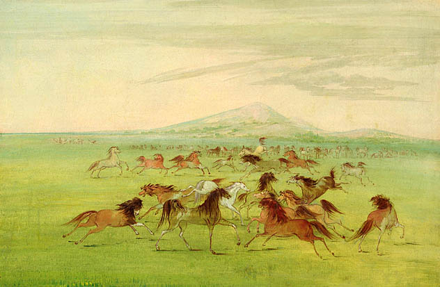 Wild Horses at Play: 1834