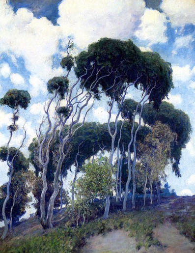 Laguna Eucalyptus: ca 1916-17