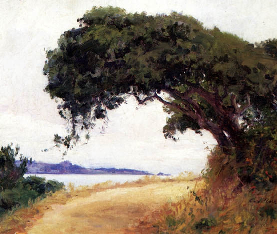 Point Lobos, Oak Tree: Date Unknown