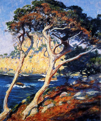 Point Lobos Trees: ca 1919