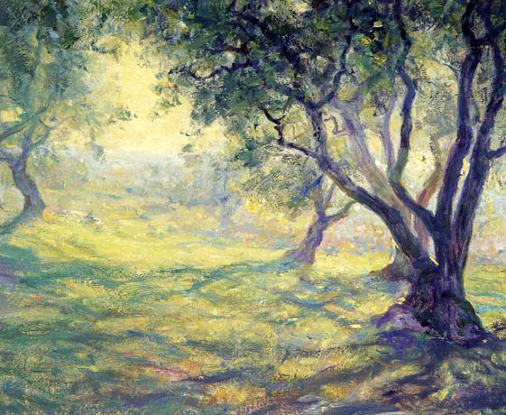 Provincial Olive Grove: Date Unknown