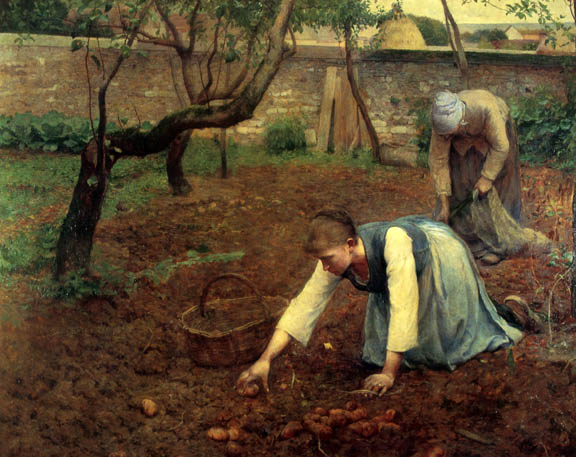 The Potato Gatherers: 1891