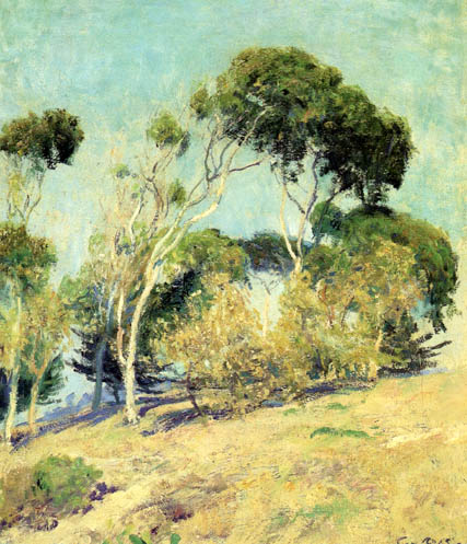 Windswept Trees, Laguna: ca 1910