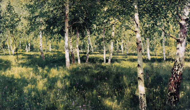 Birch Forest: Date Unknown