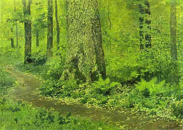 Footpath in a Forest, Ferns: 1895