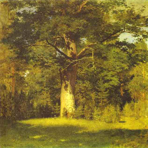 Oak: 1880