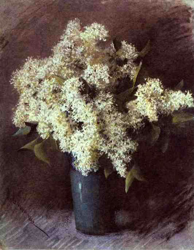 White Lilac: 1895