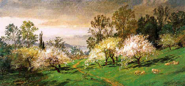 Flowering Trees: 1894