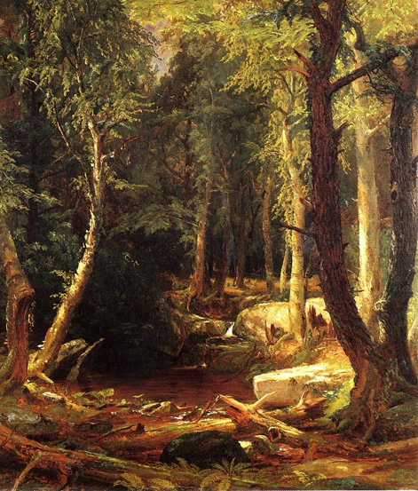 Pool in the Woods: 1855