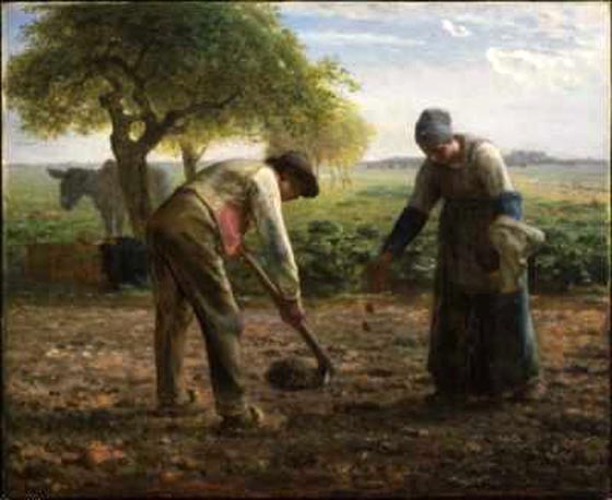 Potato Planters: ca 1861