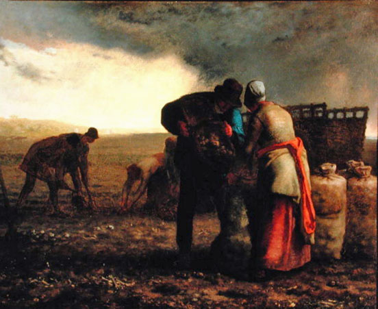 The Potato Harvest: 1855