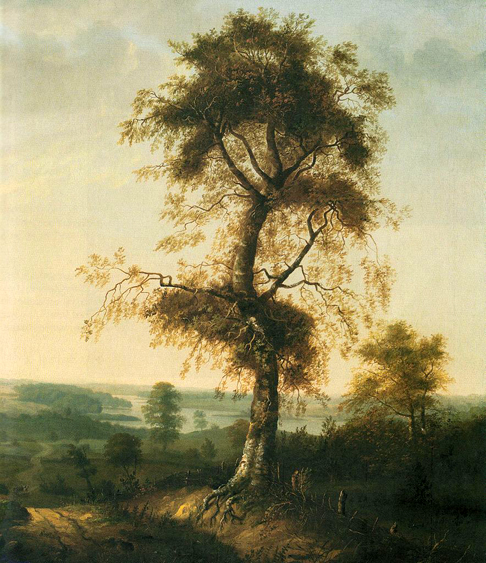 Birch in Autumn Landscape: Date Unknown