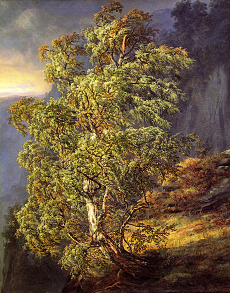 Birch in a Storm: 1849