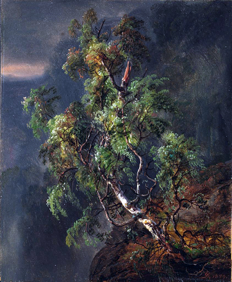 Birch in a Storm: 1849