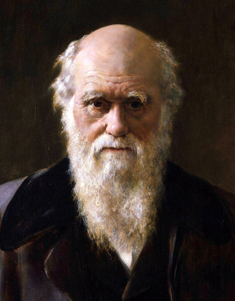Charles Robert Darwin (Detail)