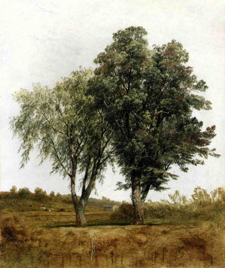 A Study of Trees: Date Unknown