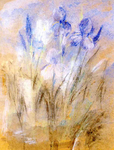 Irises: ca 1894-95
