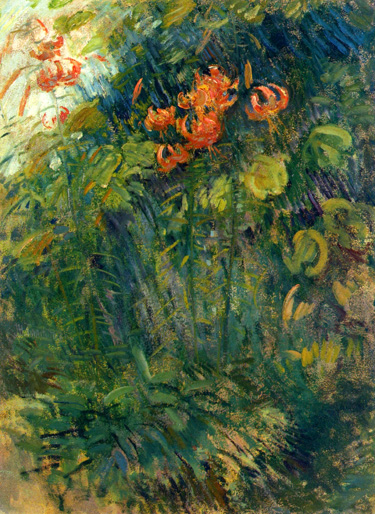 Tiger Lilies: ca 1890-95