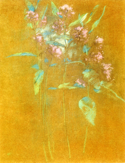Wildflowers: ca 1889-91