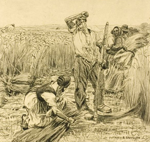 Harvest: 1872